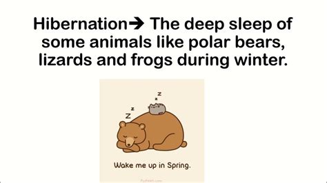 Translate 'hibernation' into Tagalog: meaning & definition.